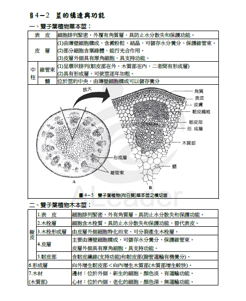 植物之生理與生殖-教材.jpg