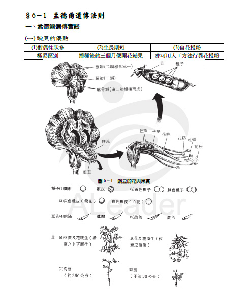 遺傳學-教材.jpg